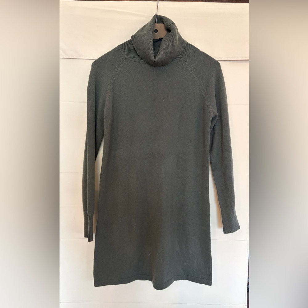 Quince Turtleneck Cashmere Sweater Dress